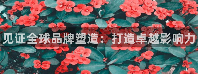 美高梅MGM电子娱乐游戏|见证